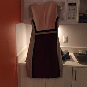 Calvin Klein women’s drew for all occasions!